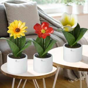 pianta in-ceramica-di-capodimonte-h-40-cm