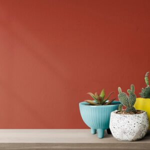 small-cacti-with-red-wall-background_53876-110275