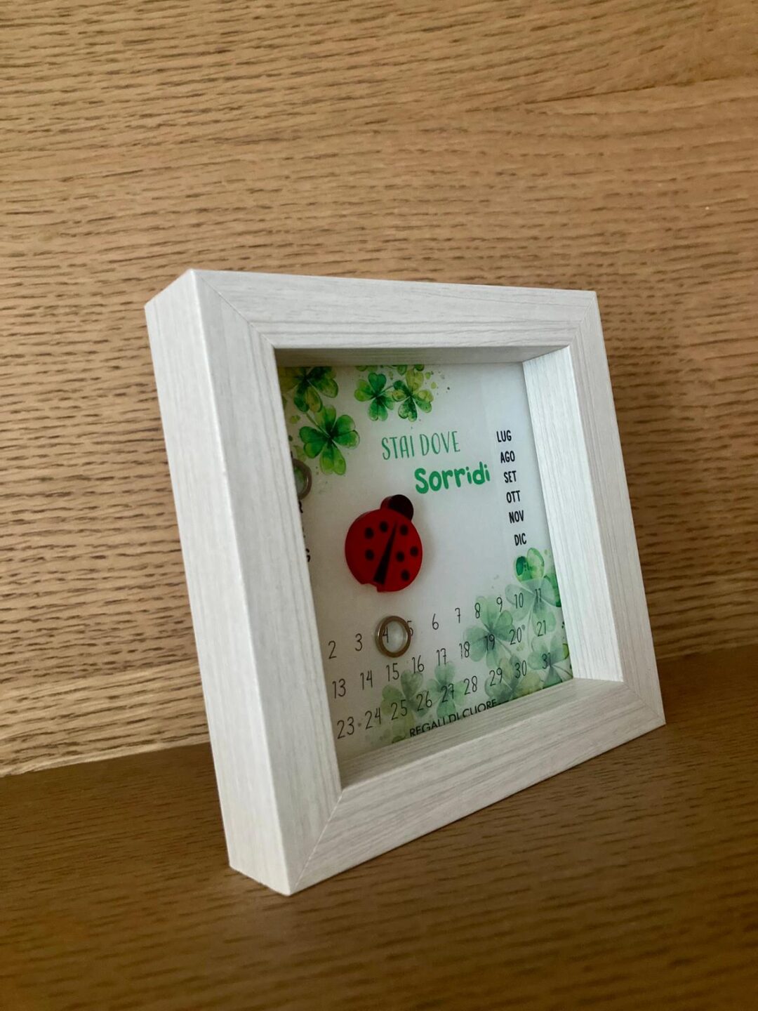 collezione linea "Stai dove sorridi" - immagine 11